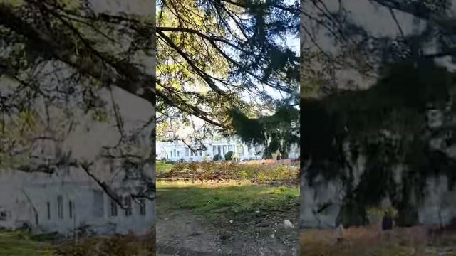 Дыхание свежести в просторе