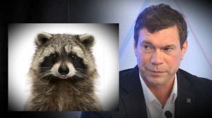 Про репутацию Царёва...
Третья часть.