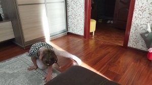Шоу-балет импровизаций!