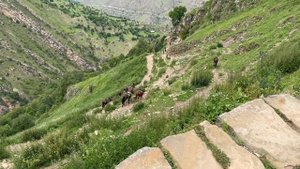 Дагестан часть-2. Гамсутль