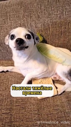 тяжелые времена