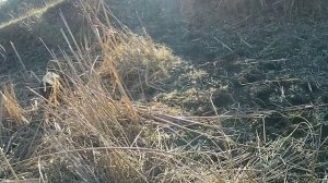 06.01.2025. Без трофея