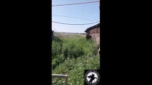 Русская Община помогла Елене, которая осталась без мужа.