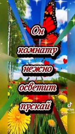 Доброе утро