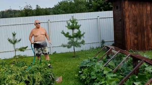 Полив и покос в жару не так опасны ,как говорят.Поливаю так больше 30 лет