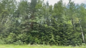 Сквозь зеленые врата Lenore11