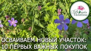 10 самых нужных покупок для нового участка