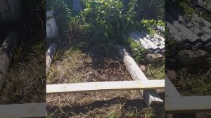 злость в гуне страсти, в гуни невежество, в гуне благости