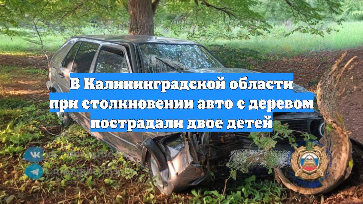 В Калининградской области при столкновении авто с деревом пострадали двое детей