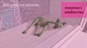 Поход на пляж//Покупки с wildberries//Кися сфинкс