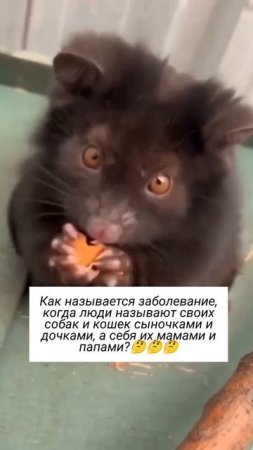как называется?