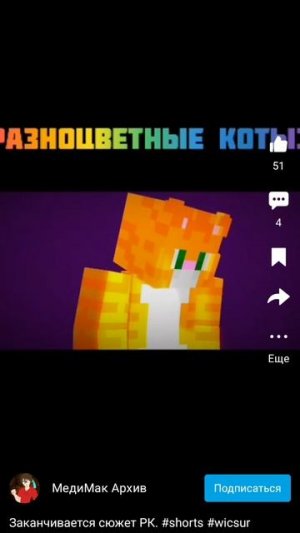 разноцветные коты