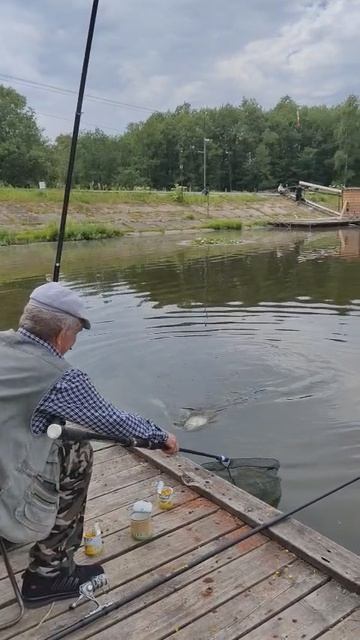 карп смотреть онлайн