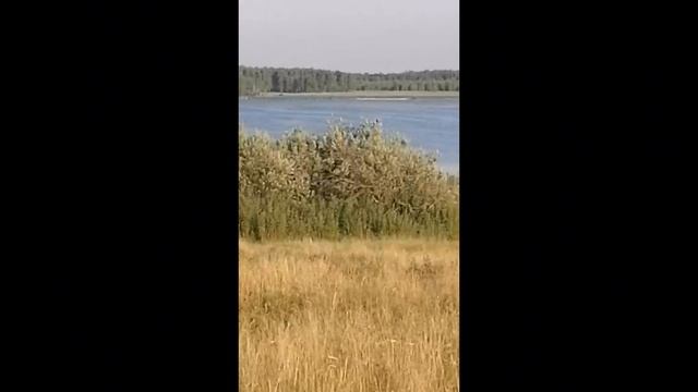 Неделя жизни в деревне не напрасна...