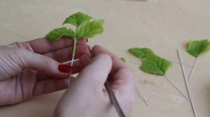 Ежевика рубус. Малина. Лепка из полимерной глины. Часть 2