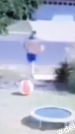 смешное видео