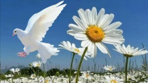 Истории из жизни. Не та любовь. Аудио рассказы, Жизненные истории слушать