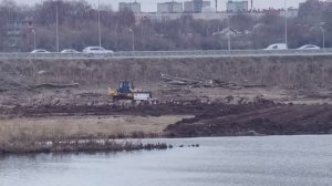 Борковской карьер в Рязани. До спиливания деревьев и после вырубки деревьев. Рязань 2025