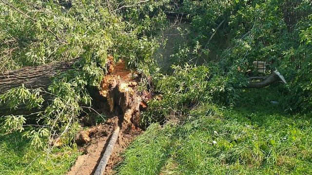 Последствия стихии 1 смотреть онлайн