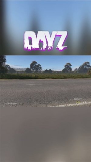 Выживание новичка в DAYZ.mp4