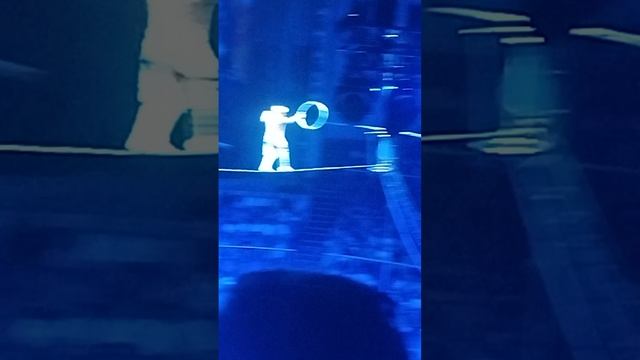 я ходила в цирк