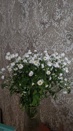 Вторник