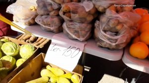 ЯРМАРКА ВЫХОДНОГО ДНЯ В БЛАГОВЕЩЕНСКЕ ! 13 июля 2025г.