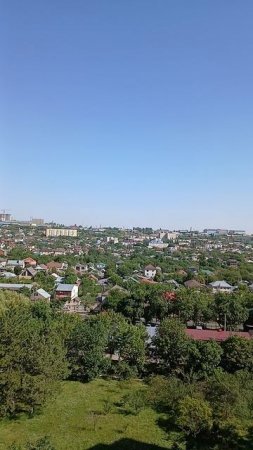 лайф жизнь 75