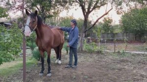 Сегодняшняя тренировка, сценическое падение с коня