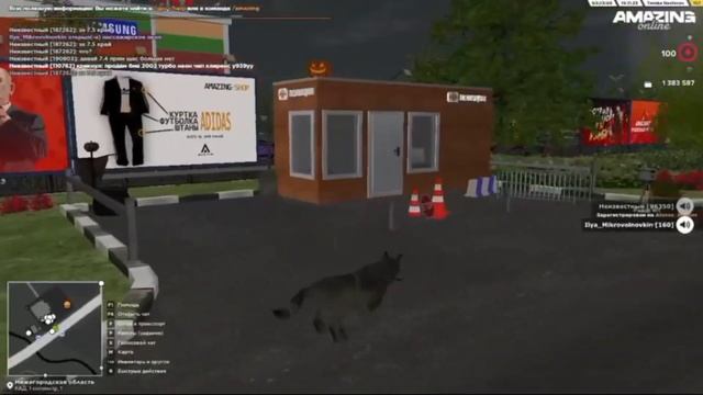 ОЛЕНЬ АМАЗИНГ РП / ЖИВОТНЫЕ  НА AMAZING RP РЕАКЦИИ ИГРОКОВ