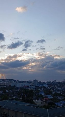 лайф жизнь 66