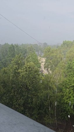 #ураган #град #дождь #reels #short #shorts #nature #shortvideo #shortsvideo #hurricane #rain #wind