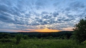 Красивый закат в лесу