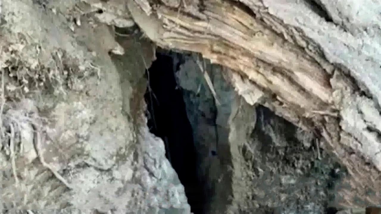 Появились кадры пещеры в Индии, в которой жила россиянка с детьми