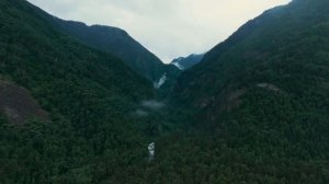 Экологическая акция Чистый берег Телецкого