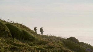 Смотри, как природа и музыка танцуют на одной волне - совершенно невероятно! - 20 Minute Meditation