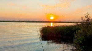 Попал на утреннюю раздачу. Рыбалка в заливе Волги