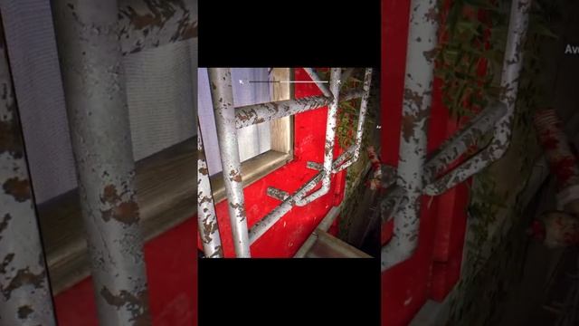 15 стримов еженедельно