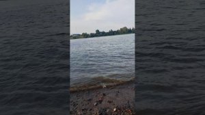Акции Лукойла падают. Где доходность_.mp4