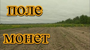 Пришел на поле и не зря