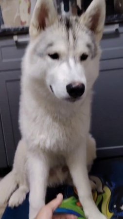 🤭