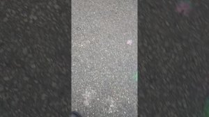 мыльный пузырь