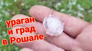 Ейск-Рошаль. Град и ураганный ветер в Подмосковье. Подарки. Огород и сад на юге.
