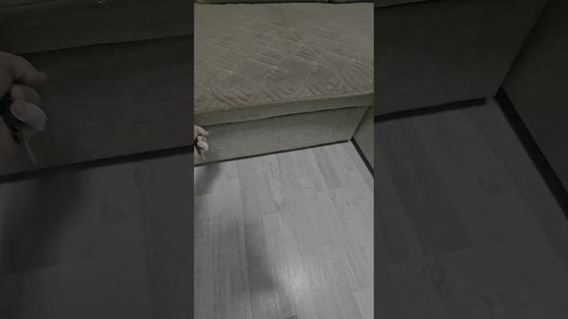 1000359580.mp4