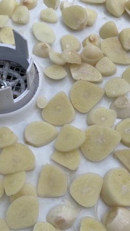 ОТЛИЧНАЯ ЗАГОТОВКА ИЗ НЕСТАНДАРТНОГО ЧЕСНОКА