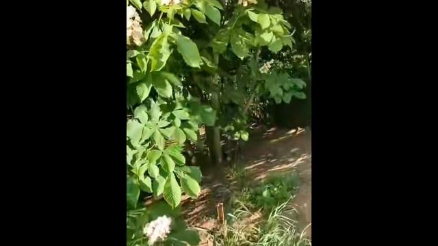 Скрытый ритм прозрачного покоя