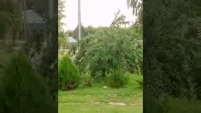 Жесточайшая травля в д огурца