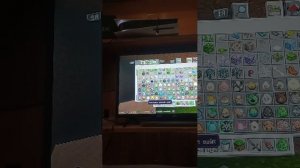 играю в маин крафт