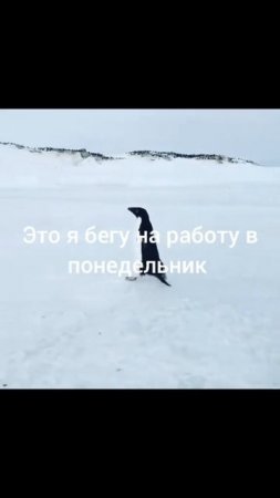 1000054397.mp4