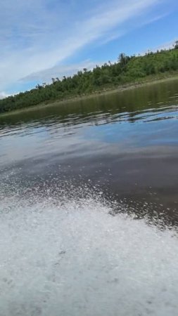 День рыбака!